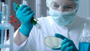 اخبار فناوری دیجیتال و تکنولوژی تا سیاست ، اقتصاد و ورزش 14 5109808