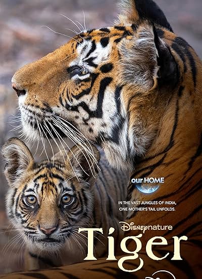 دانلود فیلم ببر Tiger 2024