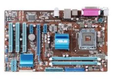 41 macan 1 300x300 1